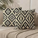 Funda Cojin 45x45 Negro Cojines Exterior Terciopelo Geometría Fundas para Almohadas con Cremallera Oculta, Cojines Decorativos Sofá Silla Patio Jardín Terraza Otoño, Regalos Mujeres, Juego de 2 1B-606