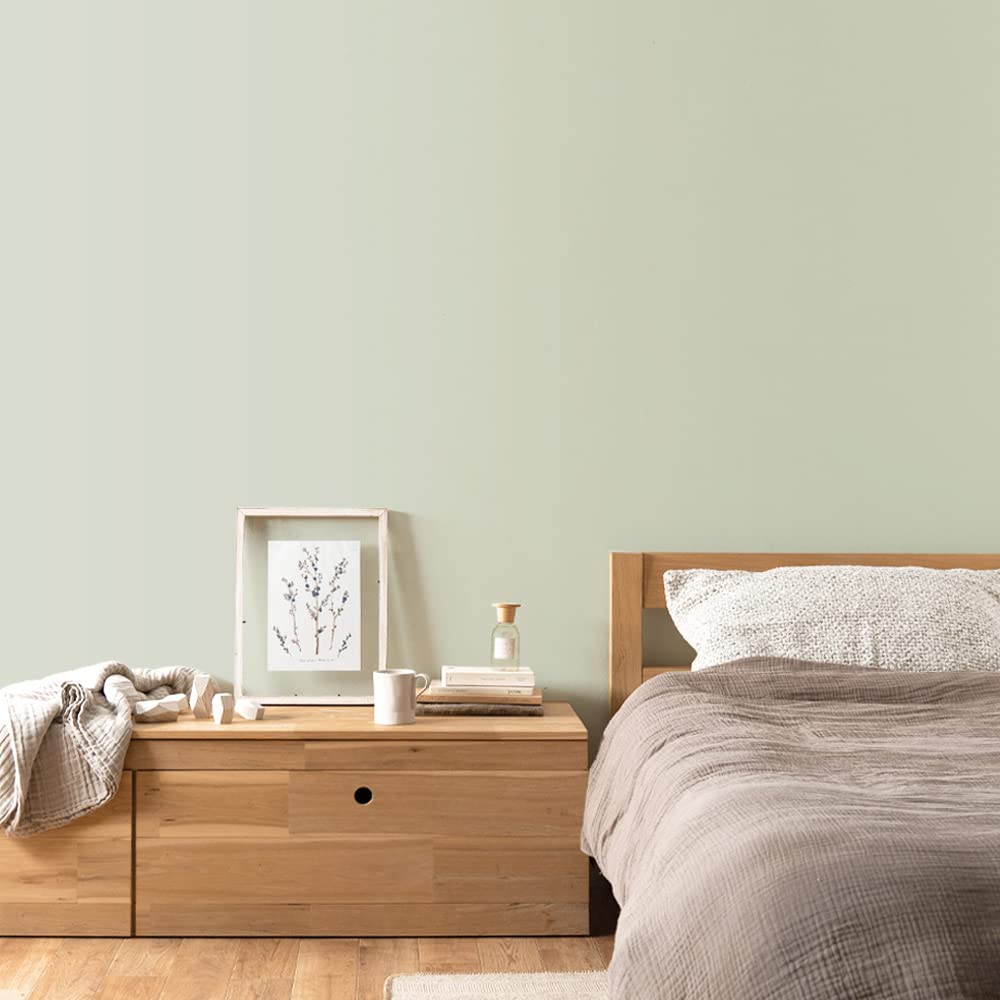 Amazon.co.jp: Kabiin Honpo Water-based Paint 2L Silver Green Smoky