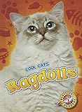 Ragdolls (Cool Cats)