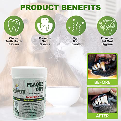 PLAQUE OUT 100g Pot, Plaque Off Remover, 100% Natural and Organic Seaweed Powder for Dogs & Cats, Dog Teeth Cleaning - Image 4