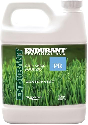 Endurant Colorantes de césped Spray perenne de centeno sobre pintura de césped verde para césped Revive patios secos y parcheados Tono de césped