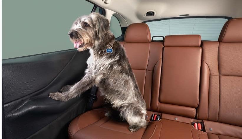 Subaru 2019-2024 Forester & 2025 Forester Wilderness Pet Rear Door Protector SOA567R100 Genuine OEM