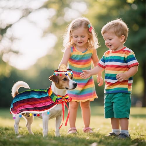 Disfraz Mexicano para Perro Pequeño con Sombrero y Accesorios miniatura 7