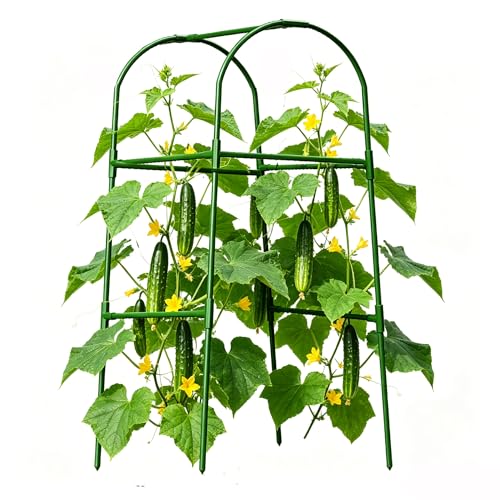 Cucumber Trellis for Plant Climbing- Cucumebr Arch Trelli for Flower Vine Vegetable Tomato Cage Raised Bed- Foldable Garden Tunnel Trellis