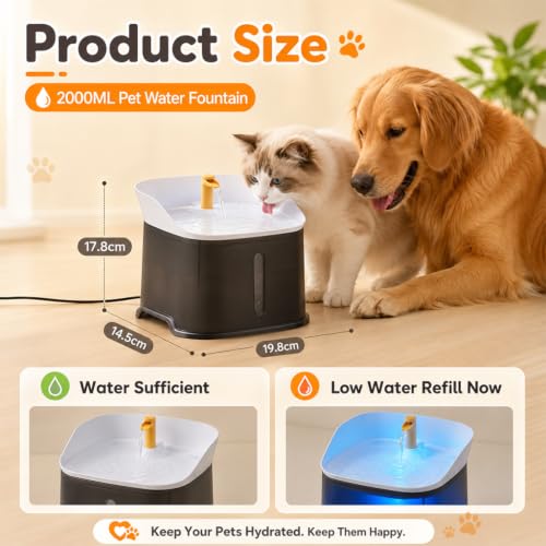 Image of Qpets Pet Water Fountain Automatic Circulating Dispenser 2L