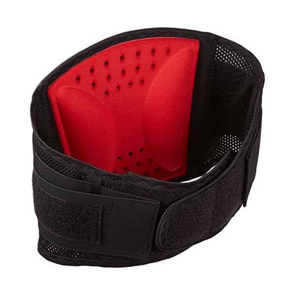 RolyanFit Mesh Back Support, Rolyan Low Back Stabilizer Brace with Breathable Mesh, Comfortable Lumbar Compression Pad…