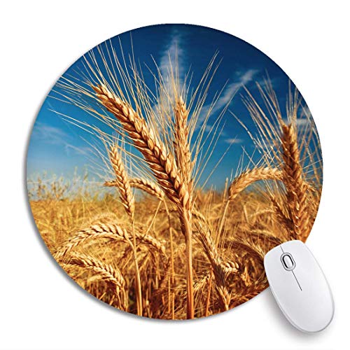 Rundes Mauspad Gelbe Landwirtschaft Weizenfeld gegen blauen Himmel Obstpflanze rutschfeste Gummibasis Mausmatte Gaming Mousepad für Computer