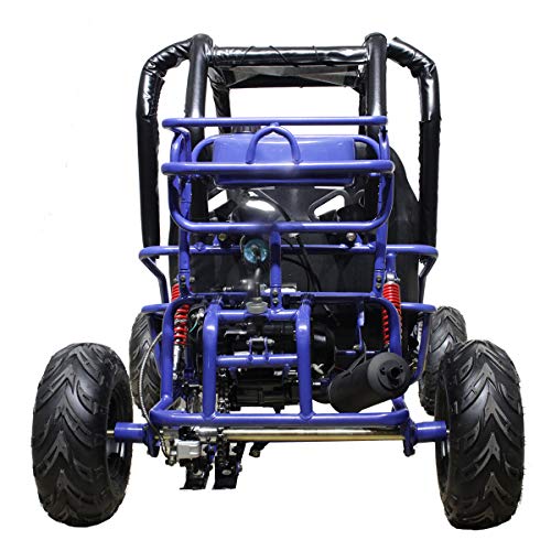 buggy 110