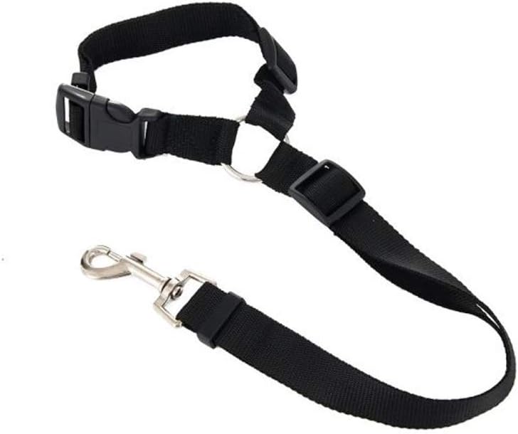 Nema Running Pet Hauling Cable Collars Traction Belt- Black