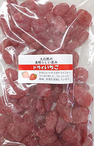 乾果物 ドライ いちご 500g 業務用 ドライフルーツ 常温