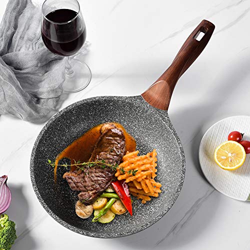 Caannasweis Nonstick Frying Pan Dishwasher Safe, Stone Skillet Pans for eggs, Induction Omelette Pan Non Toxic 100% PFOA Free (9.5" + Glass Lid) - Thumbnail 6