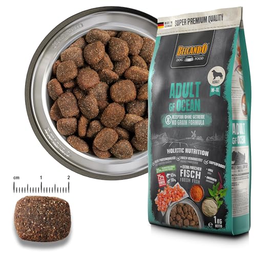 BELCANDO Adult GF Ocean [12,5 kg] getreidefreies Hundefutter | Sortenreines Trockenfutter ohne Getreide mit Fisch | Alleinfutter für ausgewachsene Hunde ab 1 Jahr