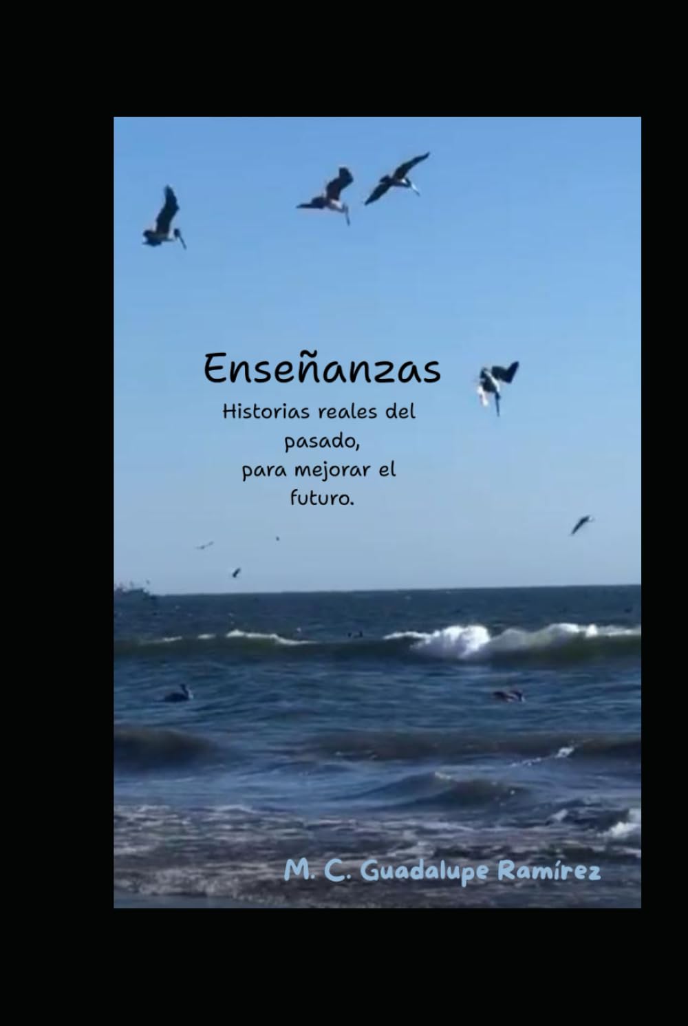 Enseñanzas: Historias reales del pasado, para mejorar el futuro.