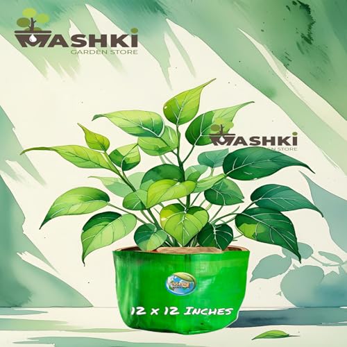 Image of MASHKI HDPE Grow Bags for Home, Terrace & Balcony Gardening - Big Size Vegetable Plant Grow Bags (15x15, 18 inchx18 inch & 24 inchx24 inch - Heavy Duty, UV Stabilized) (5, 12x12 Inches)