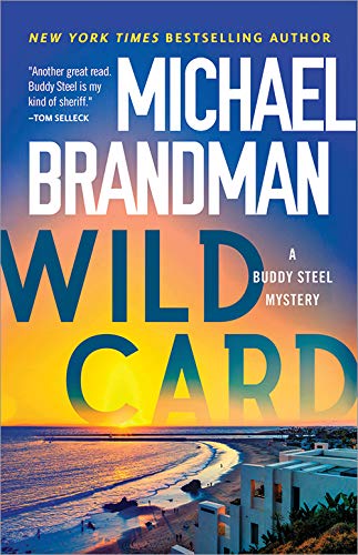 Wild Card (Buddy Steel Thrillers Book 3)