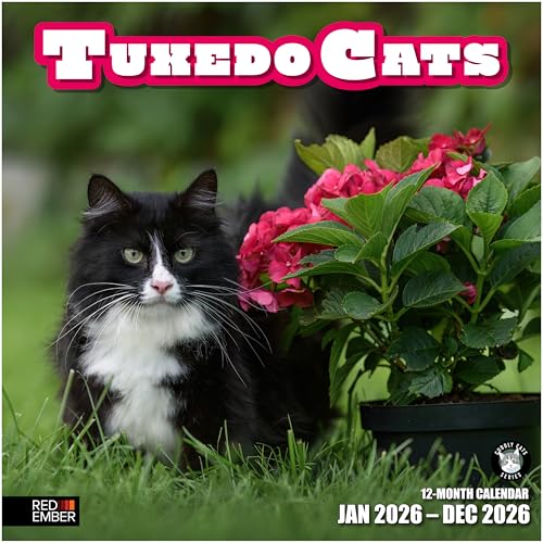 RED EMBER Tuxedo Cats 2026 Wall Calendar 12 Month | 12" x 24" Open | Thick & Sturdy Paper | Holiday Gift | Cute Kitten Cat Calendar 2026