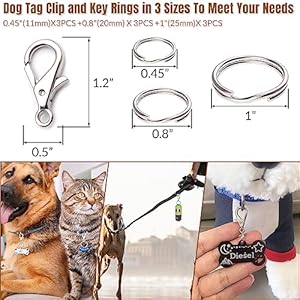   Dog-Tag-Clips-for-Collarwith-16Pcs-Replaceable-Dog-ID-Name-Tag-Ring-Clip-Dog-Tag-Attachment-Clip-Pet-tag-Quick-Clip-Clips-Rings-for-Pet-Collar-Key-Ring-Clips-Accessories-4-Sets