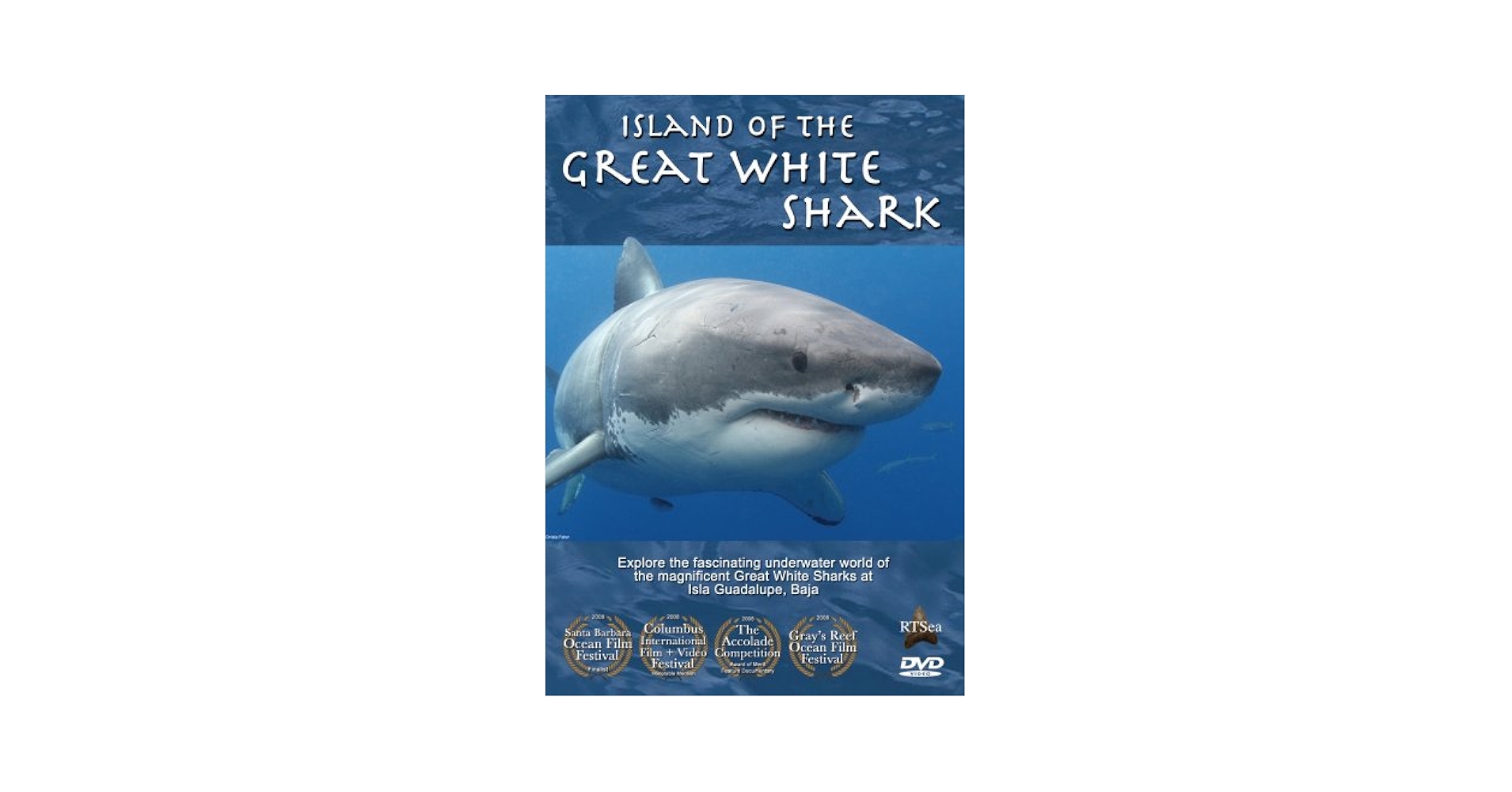 Amazon.com: Island of the Great White Shark : world reknown
