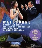  Berliner Philharmoniker Waldbühne 2019 [Blu-ray]