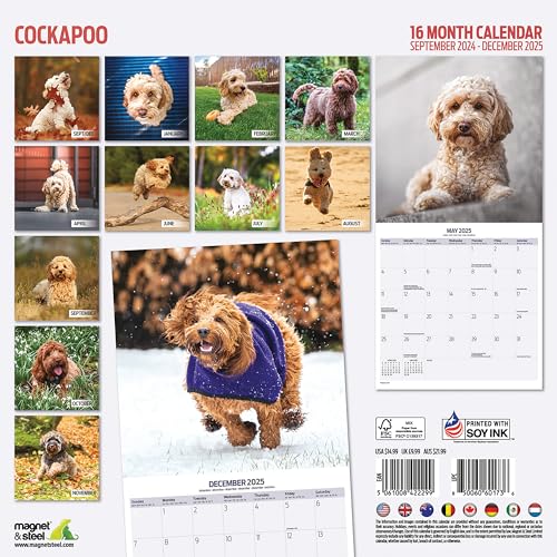 Cockapoo 2025 Traditional Calendar, Various - Image 2
