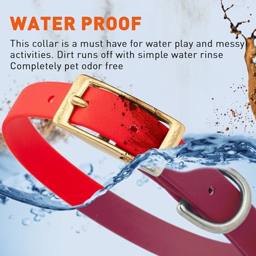 Image of Viper Biothane Heavy Duty Waterproof Dog Collar Strong Coated Nylon Webbing w /Solid Brass Hardware Odor-Proof Easy to Clean High Performance Fits Small Medium or Large Dogs, Cherry Red
