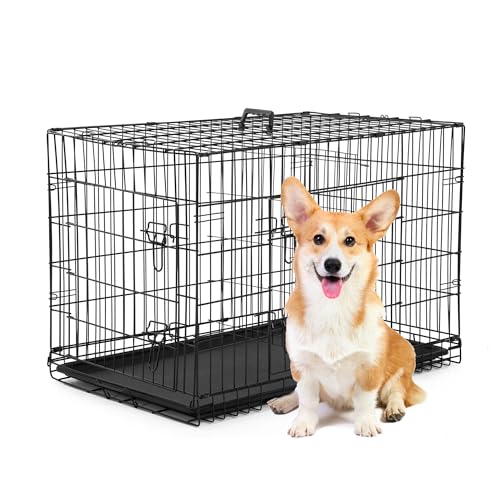 Image of BestPet | Dog Crate | 30 inch | Black | Foldable Metal Kennel with Double Doors