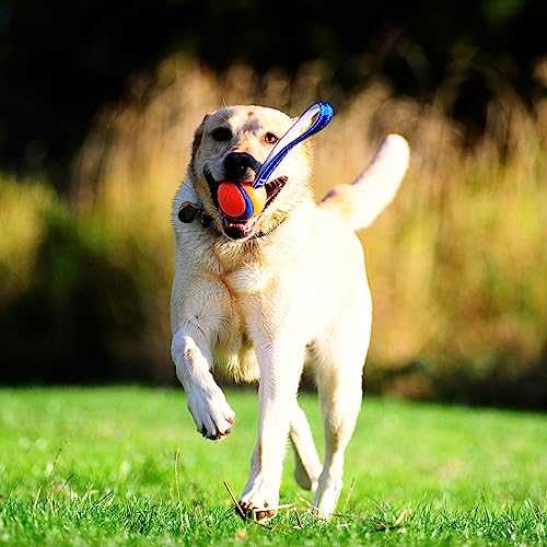 Image of Chuckit! Ultra Tug Dog Toy - Ultra Ball on a Durable Nylon Cord Handle - Fetch and Tug-of-War Toy for Dogs - for Breeds 60-100 lbs - 3-inch Diameter - Orange and Blue Large (Pack of 12)