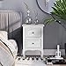 Bonnlo White Nightstand Set of 2, Nightstands with 2 Drawers, Bed Side Table/Night Stand, Small Nightstand for Bedroom, Small Spaces, College Dorm, Kids’ Room, Living Room, Wood, 16W x 12D x 24H