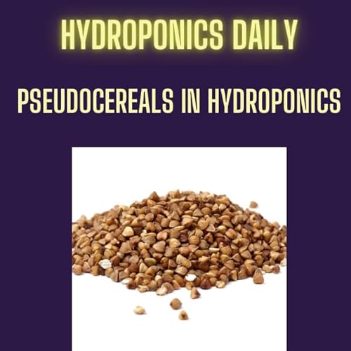 Page de couverture de Pseudo-Cereals uncovered: Hydroponics, Microgreens & Nutrition