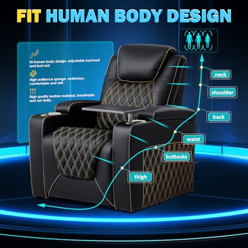 Luxury Home Theater Recliner Seating