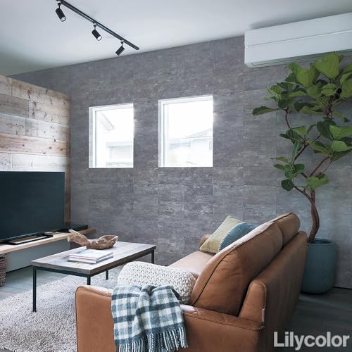 ǎ{ ǎ ̂t NX RN[g DF O[ Ζڒ J LV2291 93cm×10 ֐nt y󒍐YiELZsz