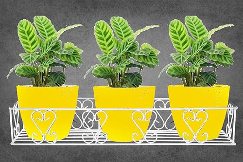Image of IRON LANDS Railings Pot Stand, Hanging pot stands for plants in balcony Railing Gamla for Decoration Items Indoor Outdoor Stand for Home Living Room Garden Decor (Pack of 1 - White)