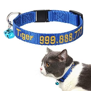 Customized Embroidery Cat Collar for Big Cat/Adult Cat, Personalized Collar with Name and Number – Cat ID Collar with Safety Breakaway Buckle