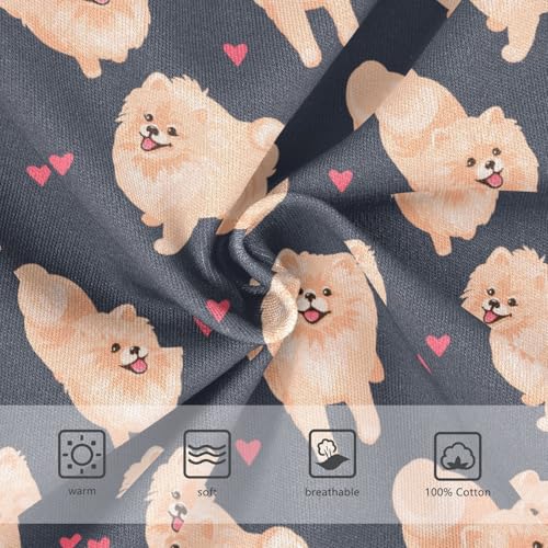 Cotton Little Boys Briefs Soft Pomeranian Dog Toddler Underwear3