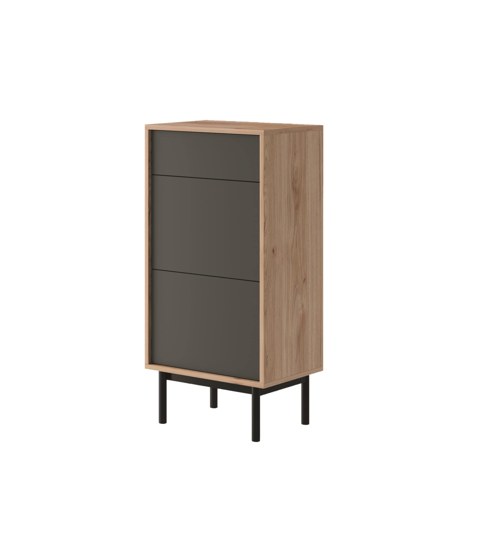 ADGO Basic Shoe Cabinet 54 x 112 x 39 cm, Cabinets, Drawer, Shoe Rack, Shoe Storage, Shoe Organize, Hallway Furniture Cupboard, Jackson Hickory/Graphite (BGD54)