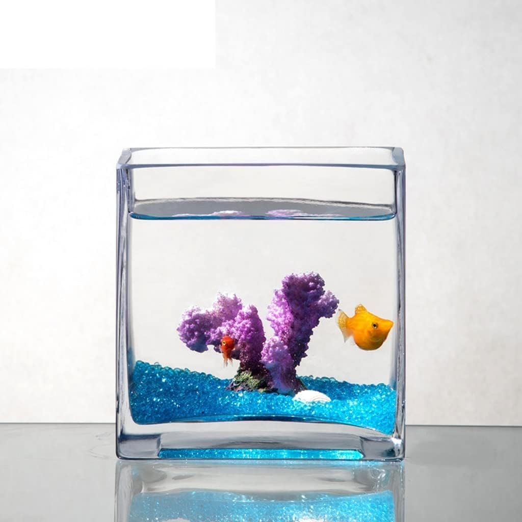 Aquarium Personality Creative Square Glass Fish Tank Aquarium Home Living Room Desktop Turtle Tank Aquarium Decoration Fish Tank Decorations (Color : Large)