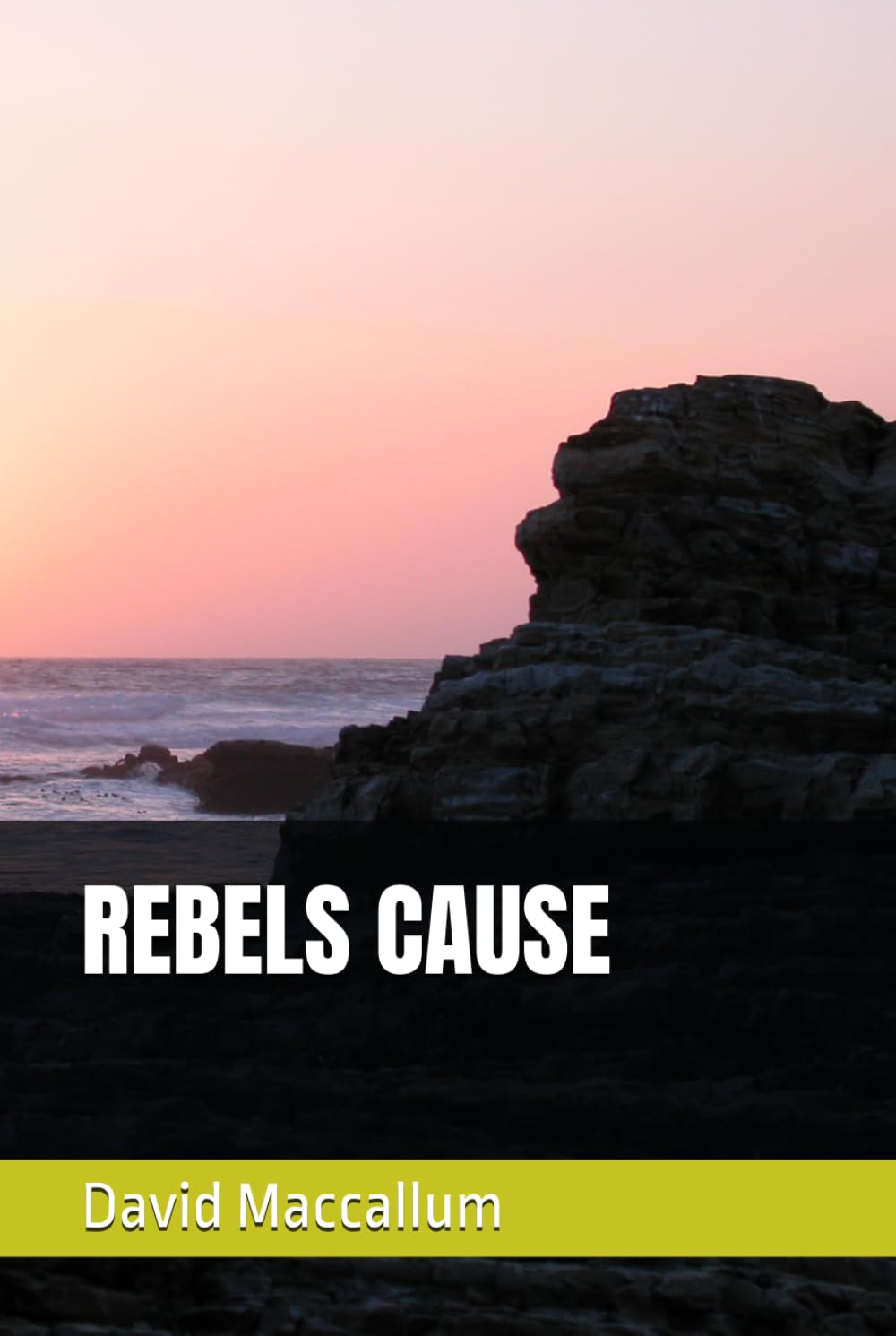 REBELS CAUSE