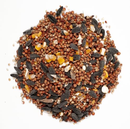 Image of Wagner's 53006 Farmer's Delight Wild Bird Food with Cherry Flavor, 18-Pound Bag