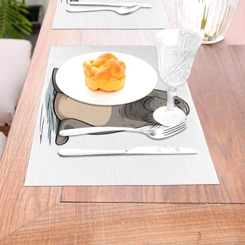 Sets de table de cuisine durables 45,7x30,5cm en PVC - 4