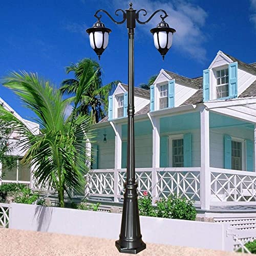 Farola de exterior resistente al agua de 200 cm para iluminación de paisajes 2