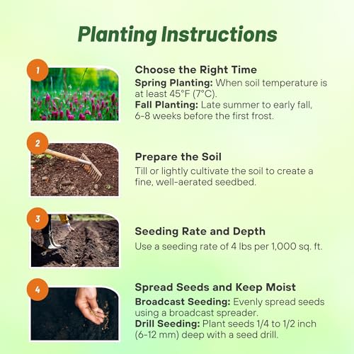 image for Outsidepride Gardenway Cover Crop Seeds - 10 lbs Nutrient-Rich Seed Mi