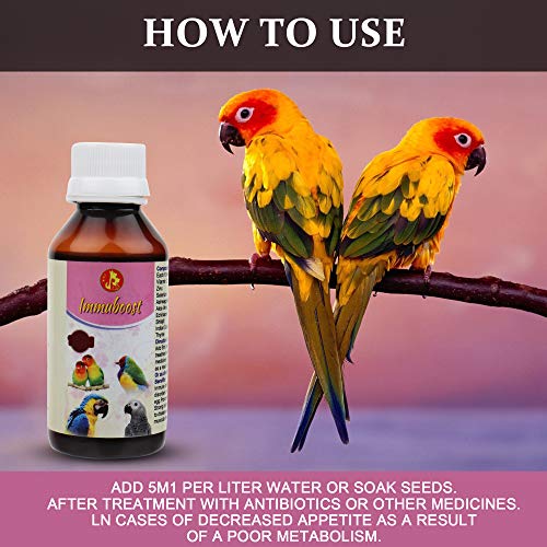 Image of Pet Care International (PCI) ImmuBoost || Provide Essential Vitamins || Healthy Bird Healthcare (30 ML, Immuboost)