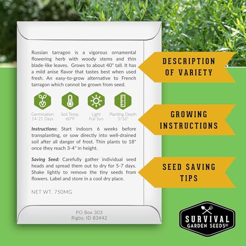 Russian Tarragon Seeds for Planting - Plant & Grow Big Flowering Herbs in Your Home Vegetable Garden - Non-GMO Heirloom Variety - Survival Garden Seeds (3 Packs) - Image 2