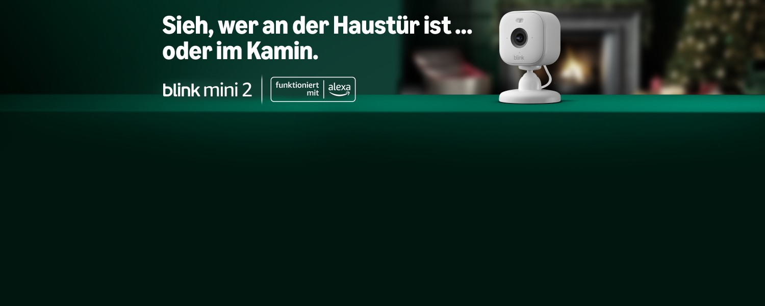 Sieh, wer an der Haustür ist ... oder im Kamin. Blink Mini 2