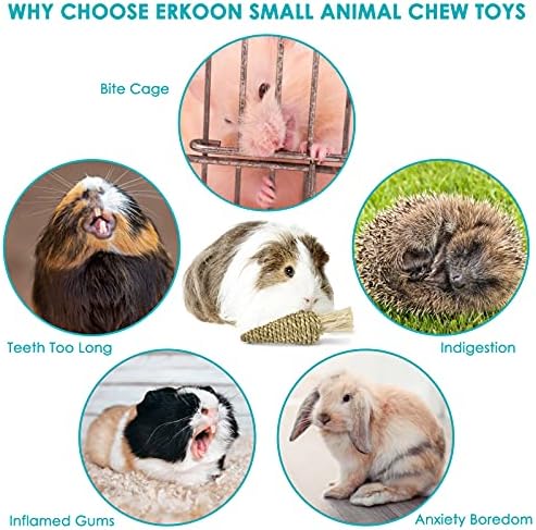ERKOON Guinea Pig Treat Toys, Small Animal Chew Boredom Breaker Natural Rabbit Hamster Teeth Care Molar Grass Balls - Apple Wood for Bunny Chinchillas Gerbils Rats Syrian Chewing