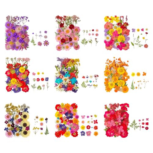 Flores secas prensadas 35 piezas para manualidades miniatura 3