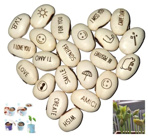 Confezione da 20 Semi Fagiolo magico fagioli magici giardino idea regalo ricorrenza evento curiosità idea casa regalo tombola natale festa innamorati messaggio particolare