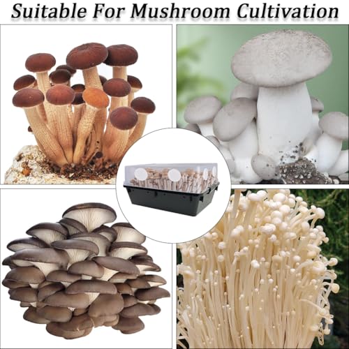 Image of GORGECRAFT 24Pcs Monotub Adhesive Filter Disks 75mm Diameter Cotton Filter Patches Stickers 2mm Thick Round Wide Mouth Mason Jar Lids Pads Replacements for Mushroom Cultivation Growing Accessories