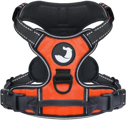 Joytale Anti-Zug Hundegeschirr für mittelgroße Hunde, Orange, M | Perfekter Sitz, gepolstert & reflektierend, 2 Anleinpunkte (vorne & hinten), Haltegriff für Treppen & Auto, für Tr
