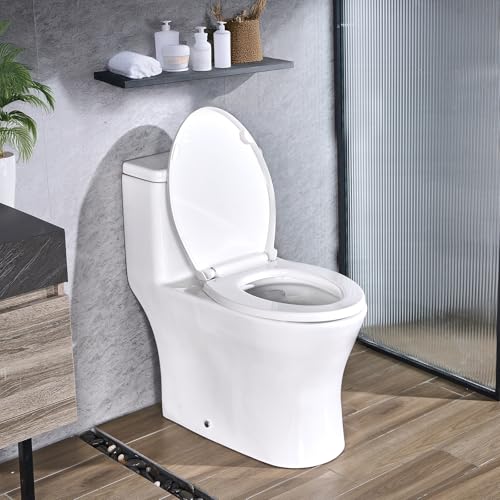 VEVOR One-Piece Toilet